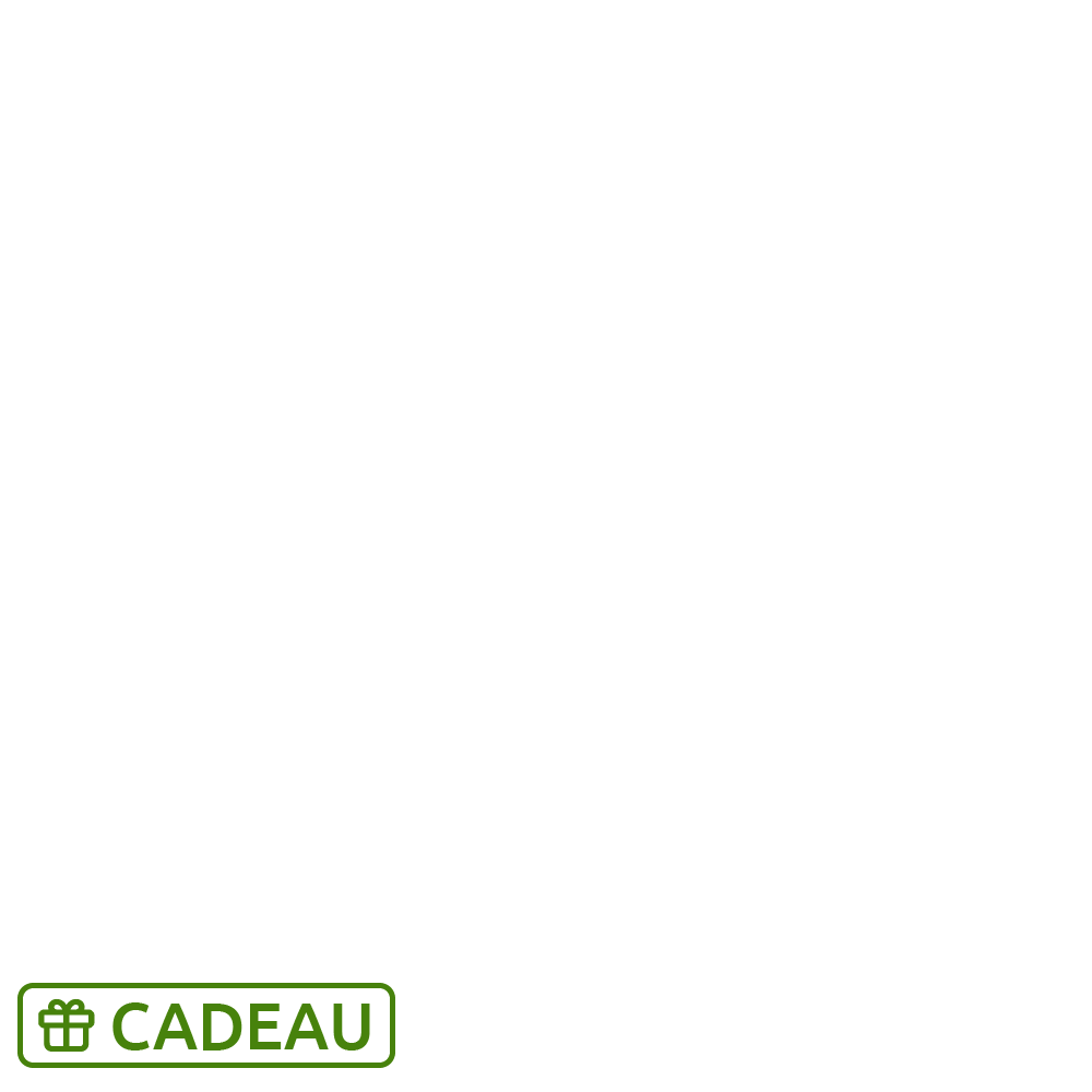 Cadeau 2026 v1
